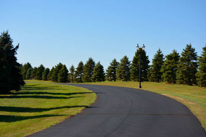 private road leading to The Aviary Recovery Center
