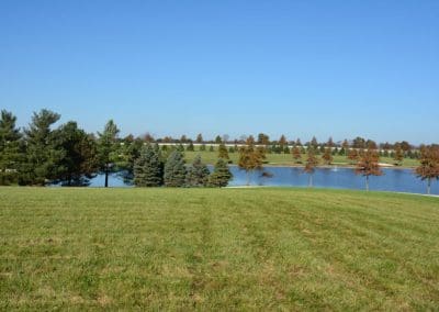 The Aviary Recovery Center - grounds and lakes