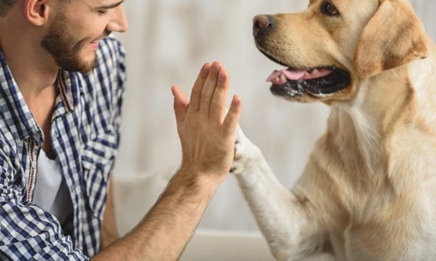 Health Benefits of Animal Assisted Therapy