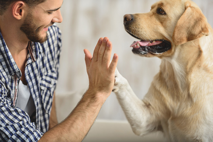 Health Benefits of Animal Assisted Therapy