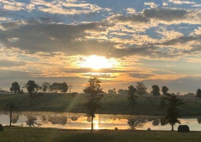 Eolia drug abuse treatment center, sunrise over the pond at The Aviary Recovery Center