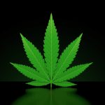 Whether Legal or Illegal, Marijuana Can Still Be the Cause of a Substance Use Disorder