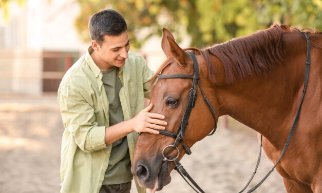 Horses Can Help Veterans and First Responders