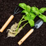 Uprooted Plants and Gardening Tools in Soil